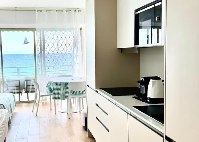Apartamento Casa Sud Front De Mer, Terrasse Plein Soleil, Vue Panoramique Et Parking *